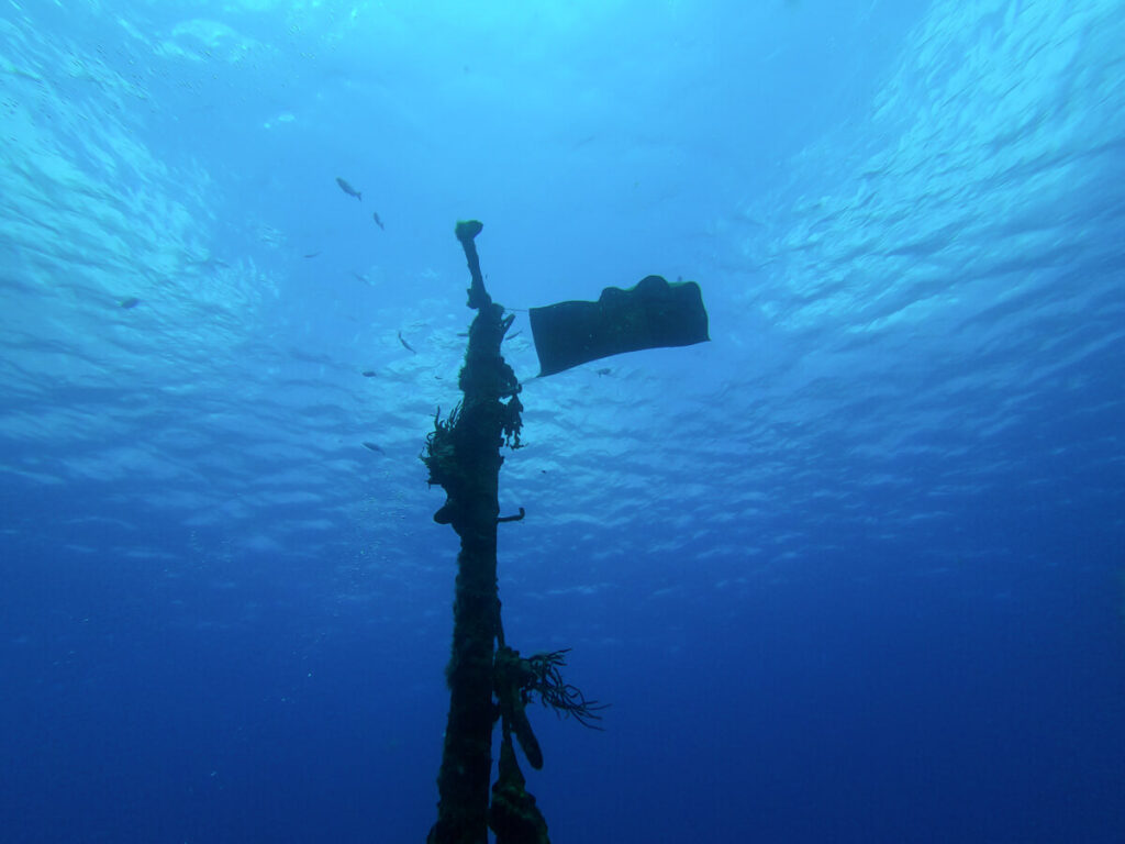 A flag on the mast of a sunken shipwreck, seen while SCUBA diving in Cozumel.