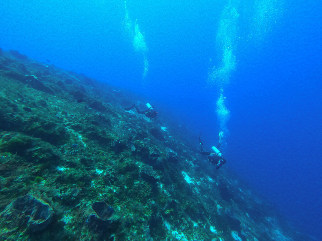 Two divers swimming a long a deep wall at a dive site in Cozumel.