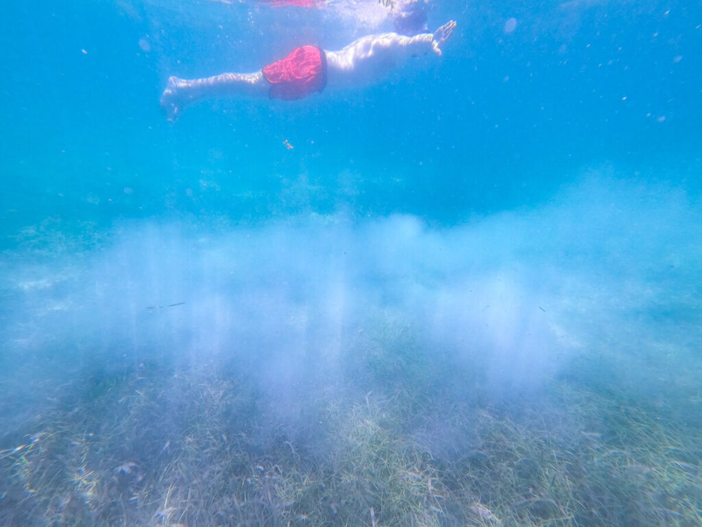 Sediment being kicked up by snorkellers in Akumal Bay, turning the blue water cloudy.