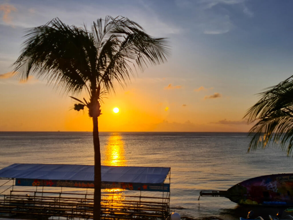 A sunset behind a palm tree off the coast of Isla Cozumel.