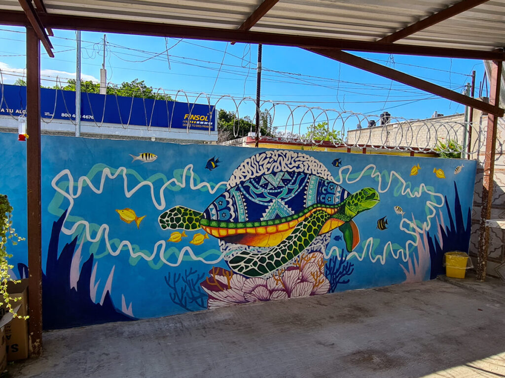 A colourful mural of a turtle on a wall in Isla Cozumel.