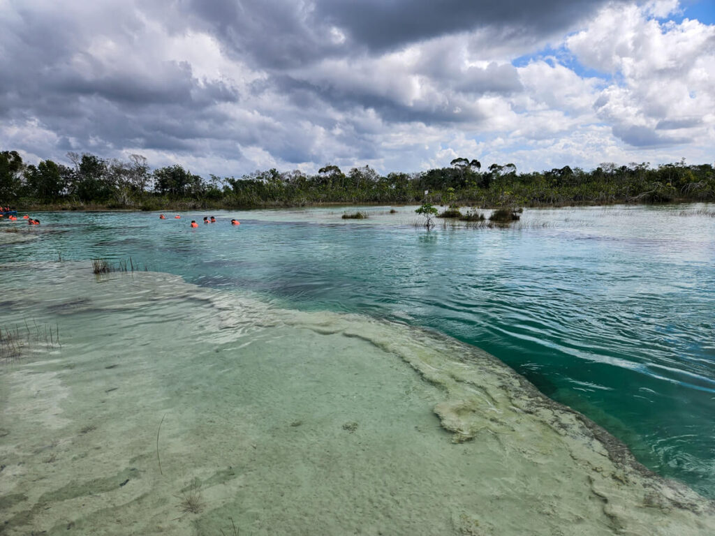 The ancient sedimentary stromatolites at Los Rápidos in Bacalar.