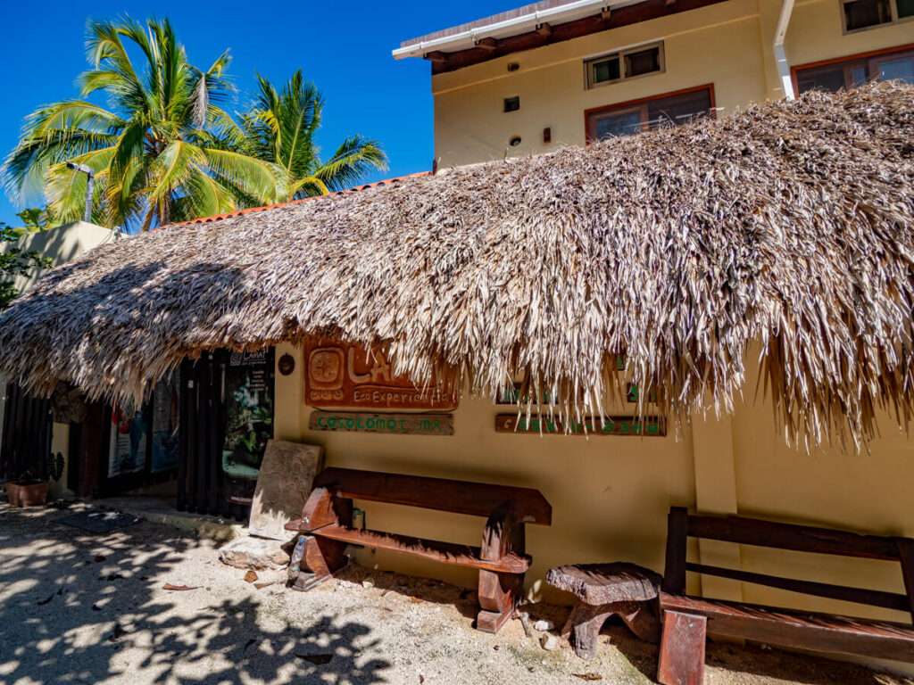 The front entrance of the Eco Hotel Casa Lamat. The roof is a traditional palapa style and there are hand-carved benches along the wall.