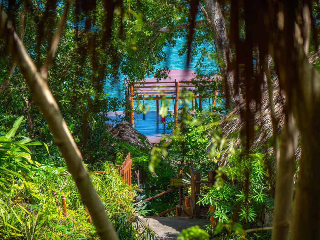 The blue waters of Bacalar lagoon shimmering in the sunshine behind the greenery of Casa Lamat.
