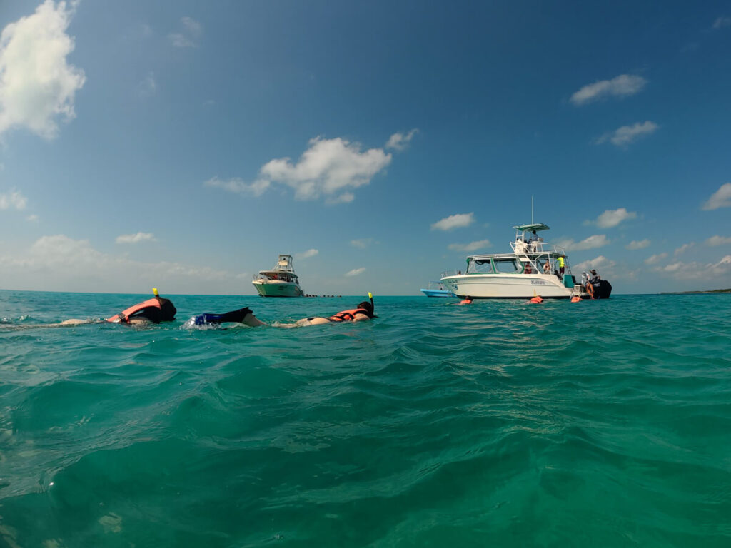 Snorkellers returning to their boat in the waters around Isla Contoy.