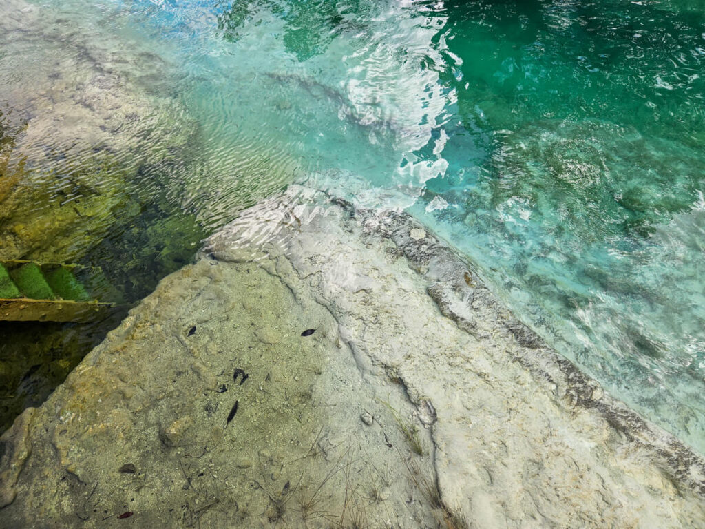 Steps leading down into the clear water at Los Rápidos beside a large formation of Stromatolites.