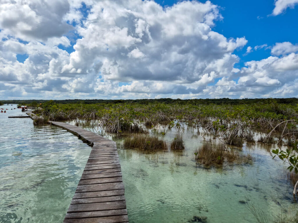 A wooden boardwalk that running along the length of Los Rápidos.