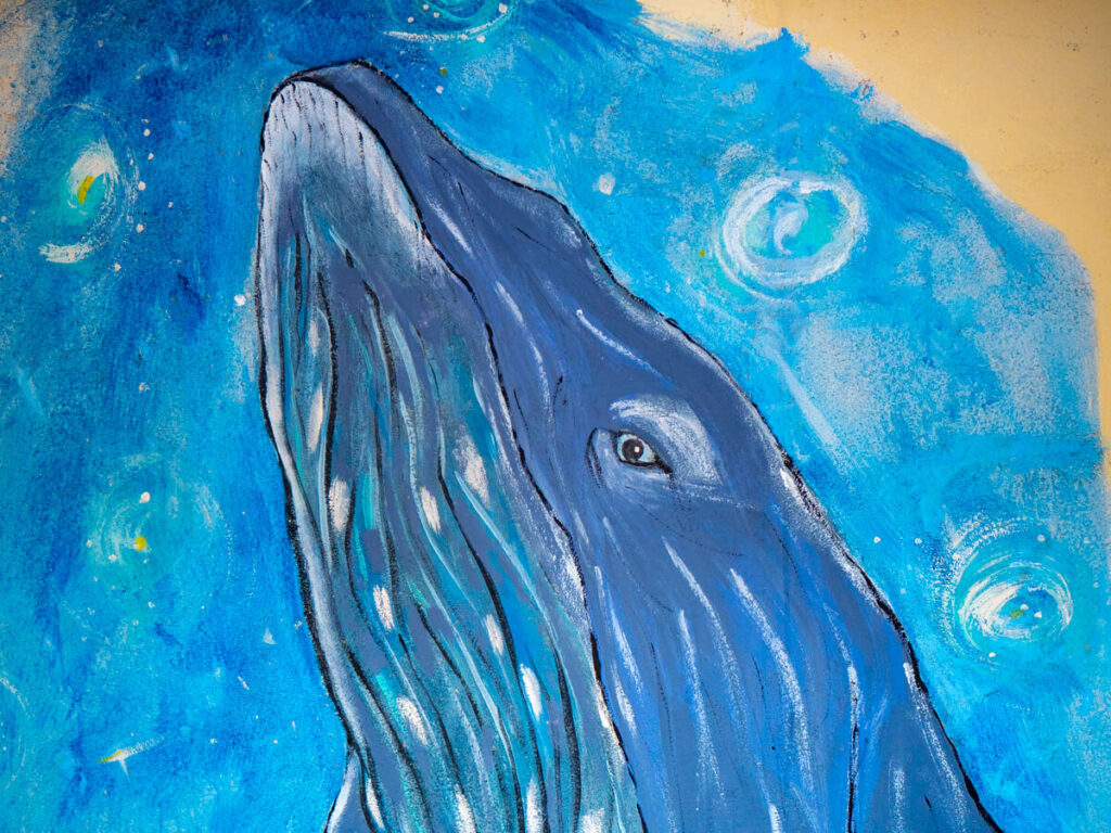 A painting of a humpback whale on a wall at the Eco-hotel Casa Lamat.