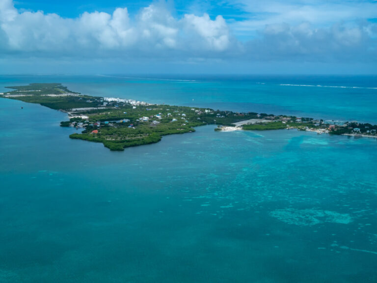 Caye Caulker as viewed from a distance. The land is mostly covered in greenery and surrounded by clear blue water.