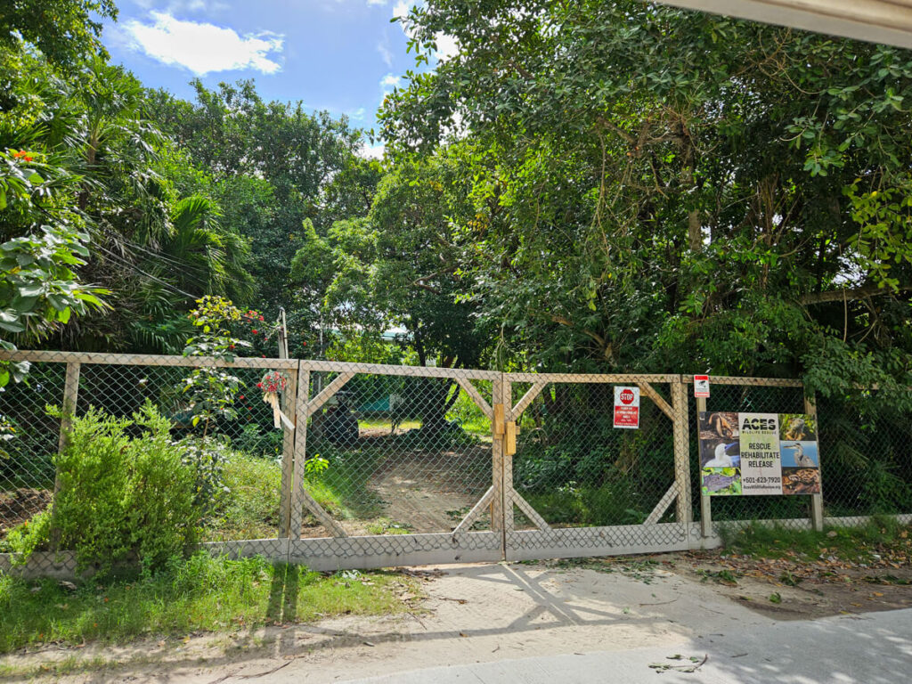 The gates to ACES in Ambergris Caye, a wildlife rescue centre with the slogan "Rescue Rehabilitate Release".