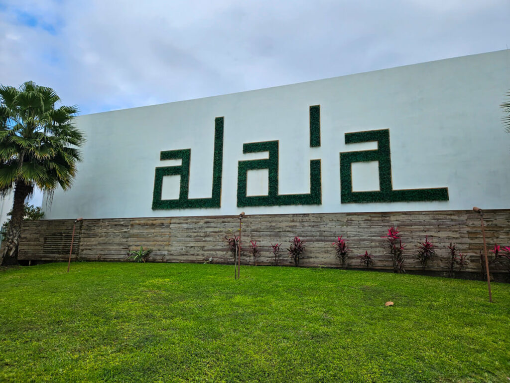 The entrance to Alaia, a highly-recommended hotel in San Pedro, Belize. The letters of "Alaia" have been spelled out with greenery.