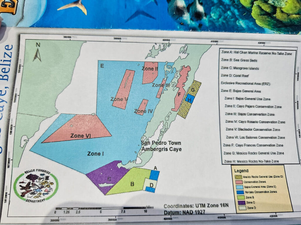 A map of the Hol Chan Marine Reserve zones set out by The Belize Fisheries department. The map shows a variety of areas off the coast of San Pedro that are 'no-take conservation zones' as well as zones for general public use.
