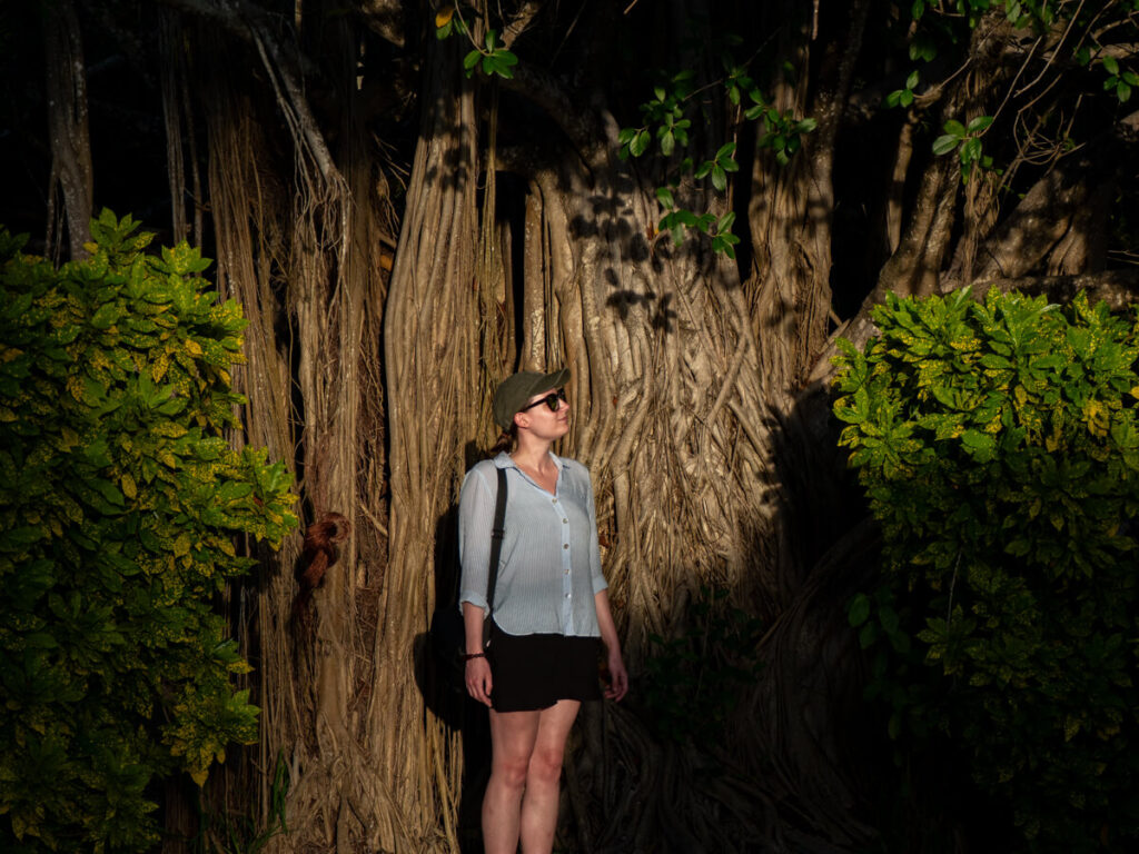 Lucy standing in front of a banyan tree in the sunshine.