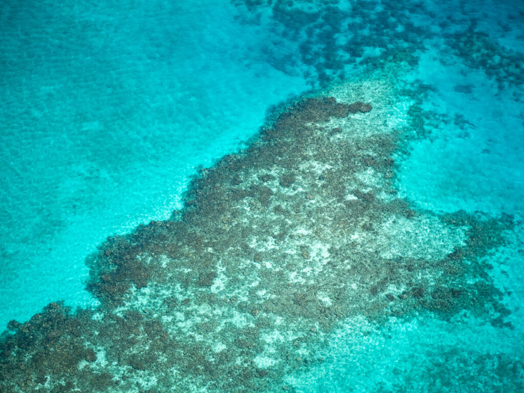 A large coral formation, visible from a plane, in Belize's clear waters.