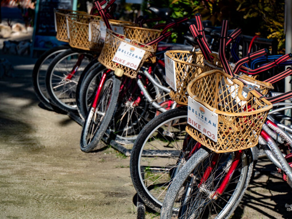 A line of bicycles available to rent at Belizean Shores Resort.