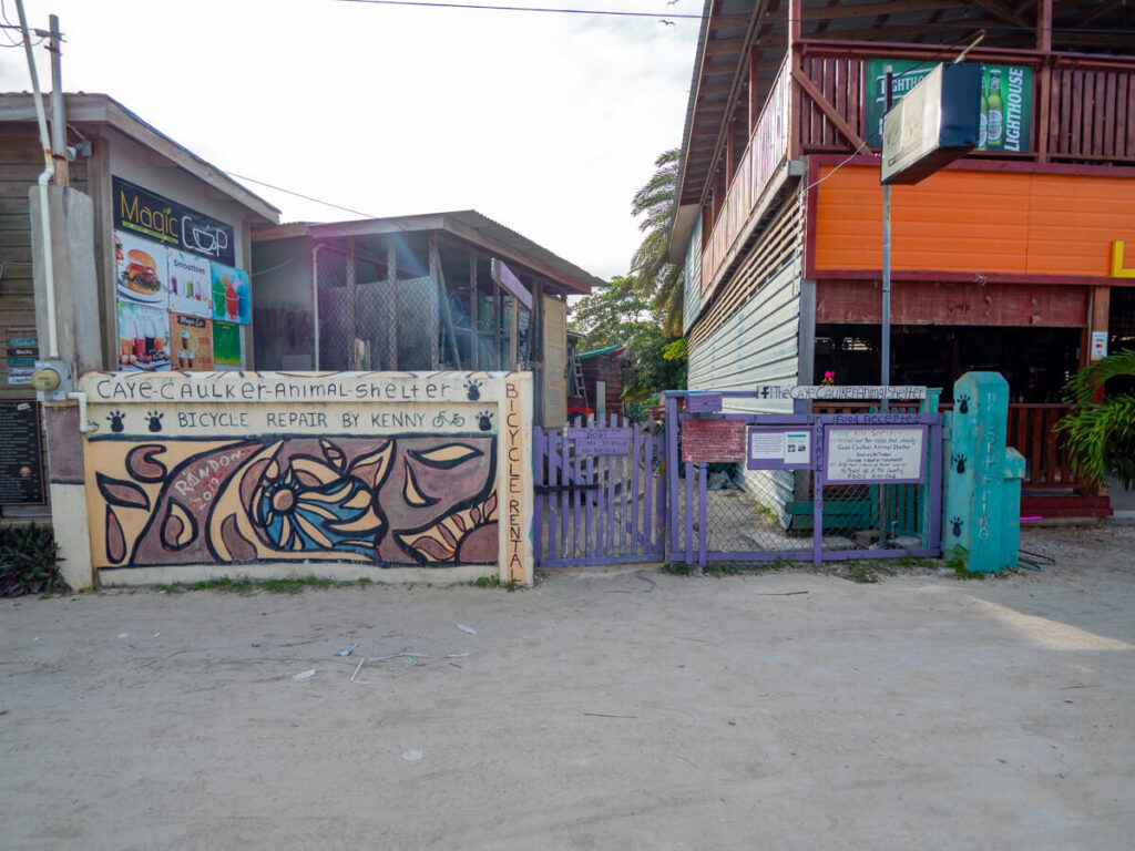 The front entrance to Caye Caulker Animal Shelter, a non-profit organisation that looks after stray animals.