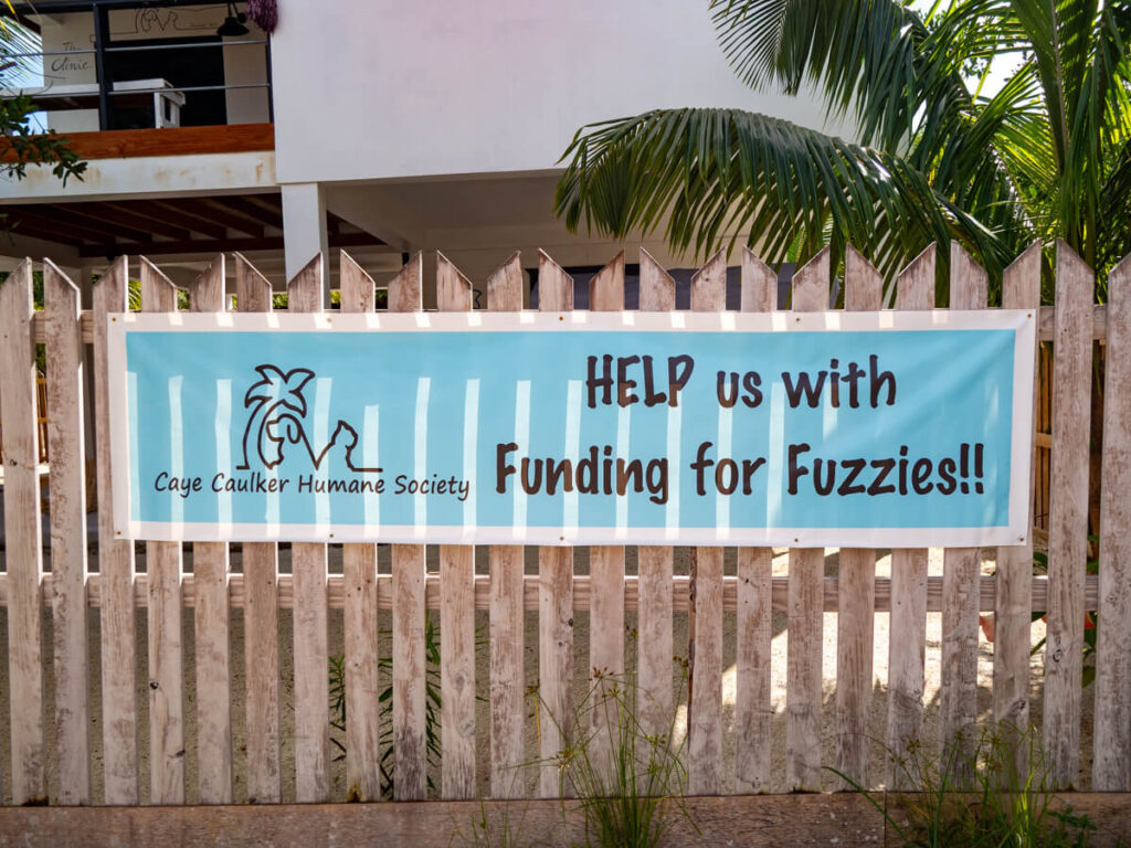 A sign advertising the Caye Caulker Humane Society and asking for donations: "Help us with funding for our fuzzies!!" This association looks after stray dogs and cats.