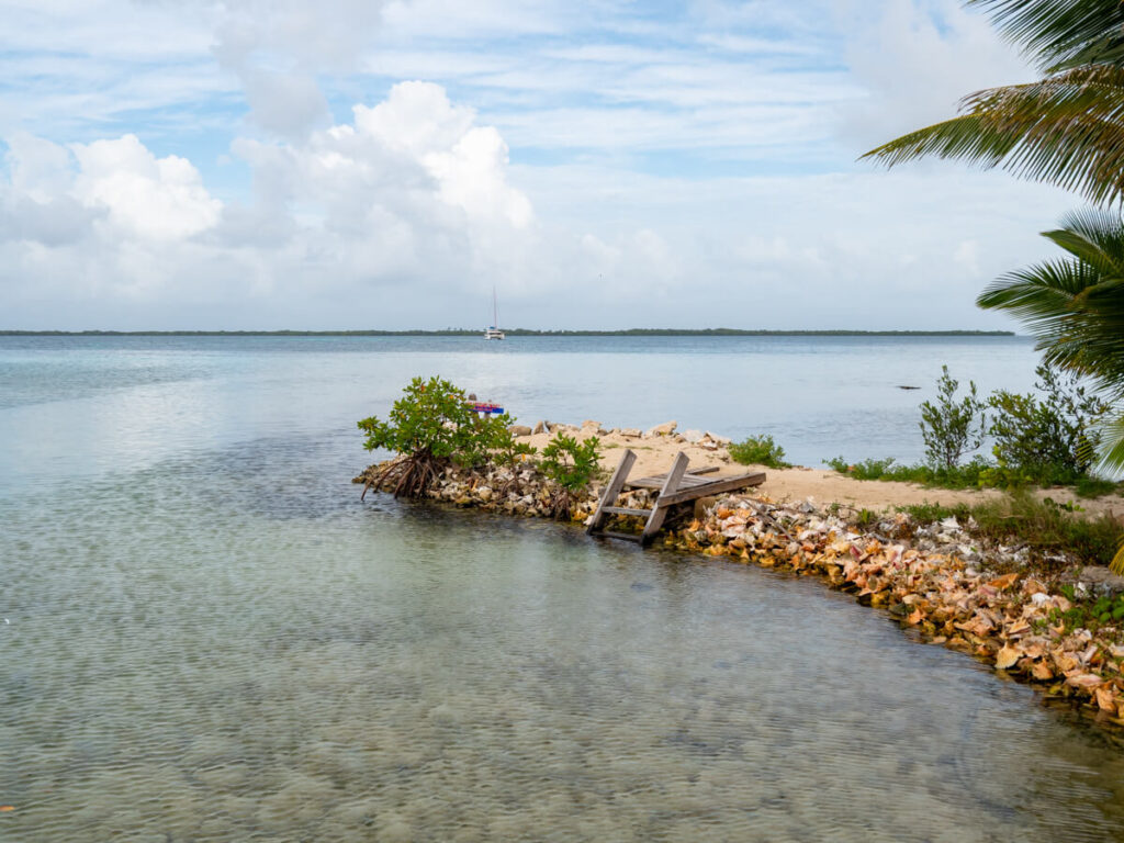 A section of the famous conch shell graveyard on Tobacco Caye, a small island on the Belize Barrier Reef.