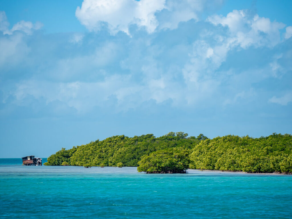 A small Belizean island, covered in bright green mangroves.
