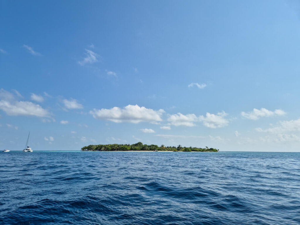 The uninhabited bliss of Moho Caye, a small island covered in thick greenery.