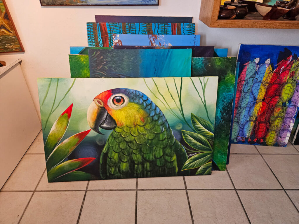 A stack of paintings by local artists in a small Belizean art gallery. The front painting is of a colourful parrot.