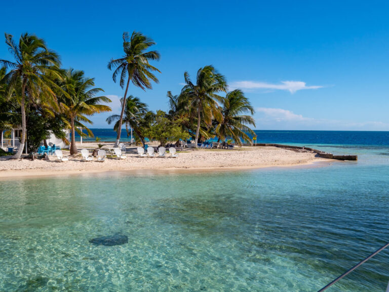 The small, clean beach on Rendezvous Caye. A few deck chairs sit in the sand in front of a handful of palm trees. A stingray is clearly visible swimming in the shallows.