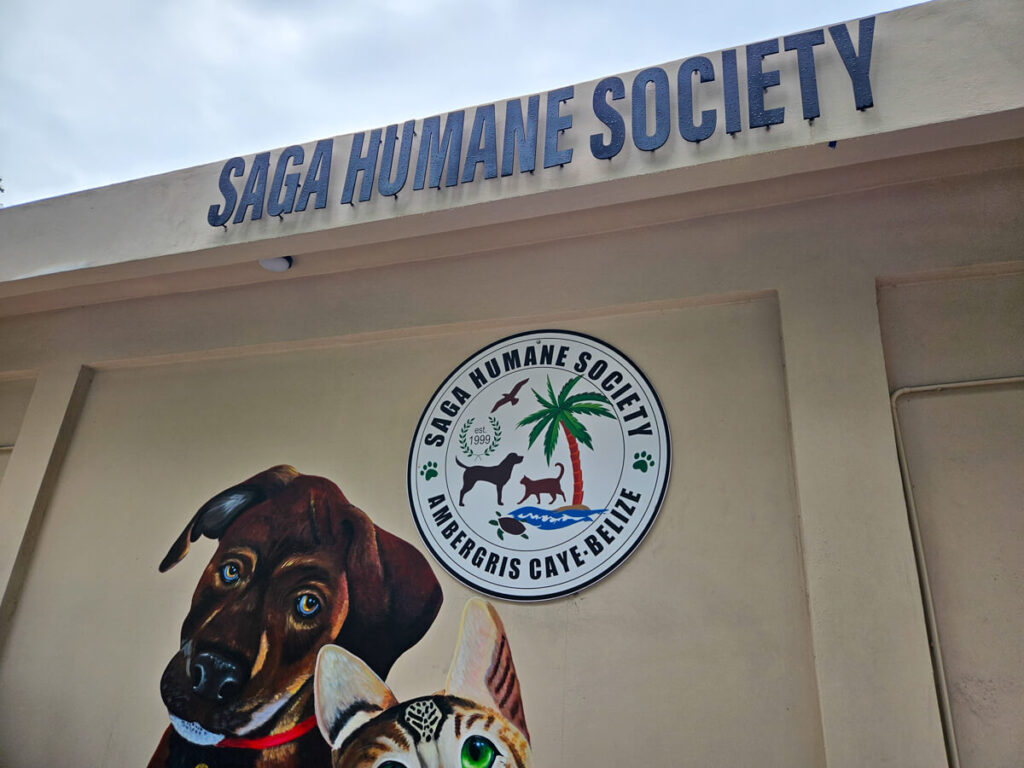 The outside of the SAGA Humane Society of Ambergris Caye, Belize. This association runs many programs to look after stray animals on Ambergris Caye. The front wall has a mural of a cat and a dog sat side-by-side.