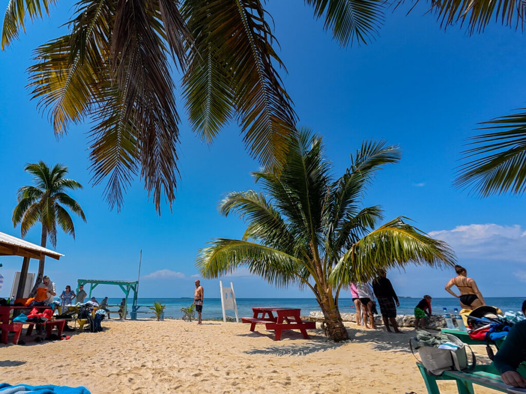 The view from the island at Silk Caye. A few tourists are walking around relaxing on the sand and relaxing in the sunshine.