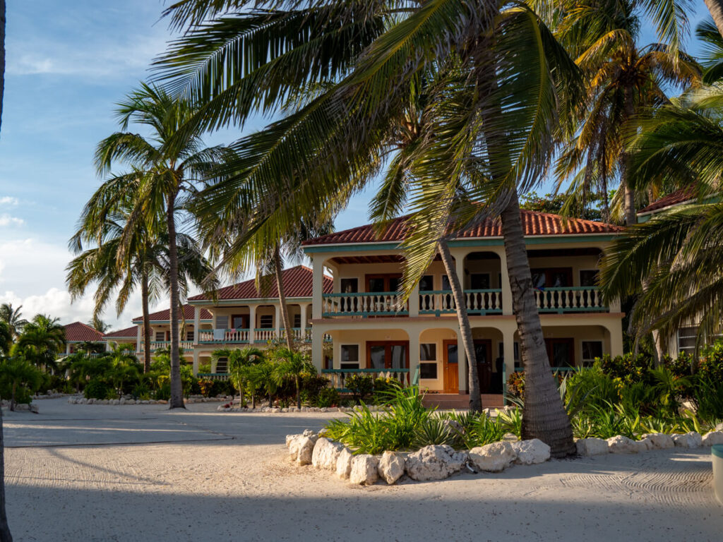 Palm trees blowing in the wind in front of the suites of Belizean Shores Resort, San Pedro.