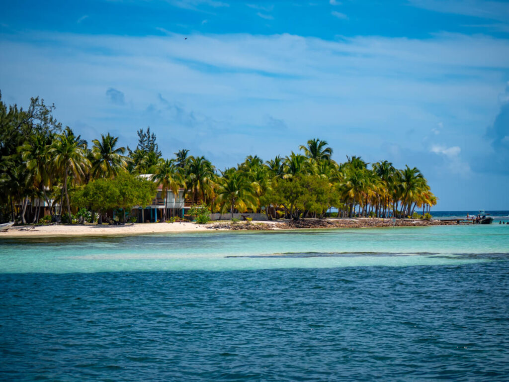 A section of Tobacco Caye as viewed from a boat. The water turns from dark to pale as you get closer to the white sands of the shore.