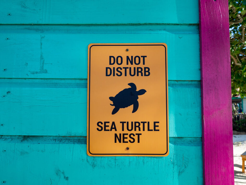 A sign that reads "Do no disturb sea turtle nest" on the side of a building on Tobacco Caye.