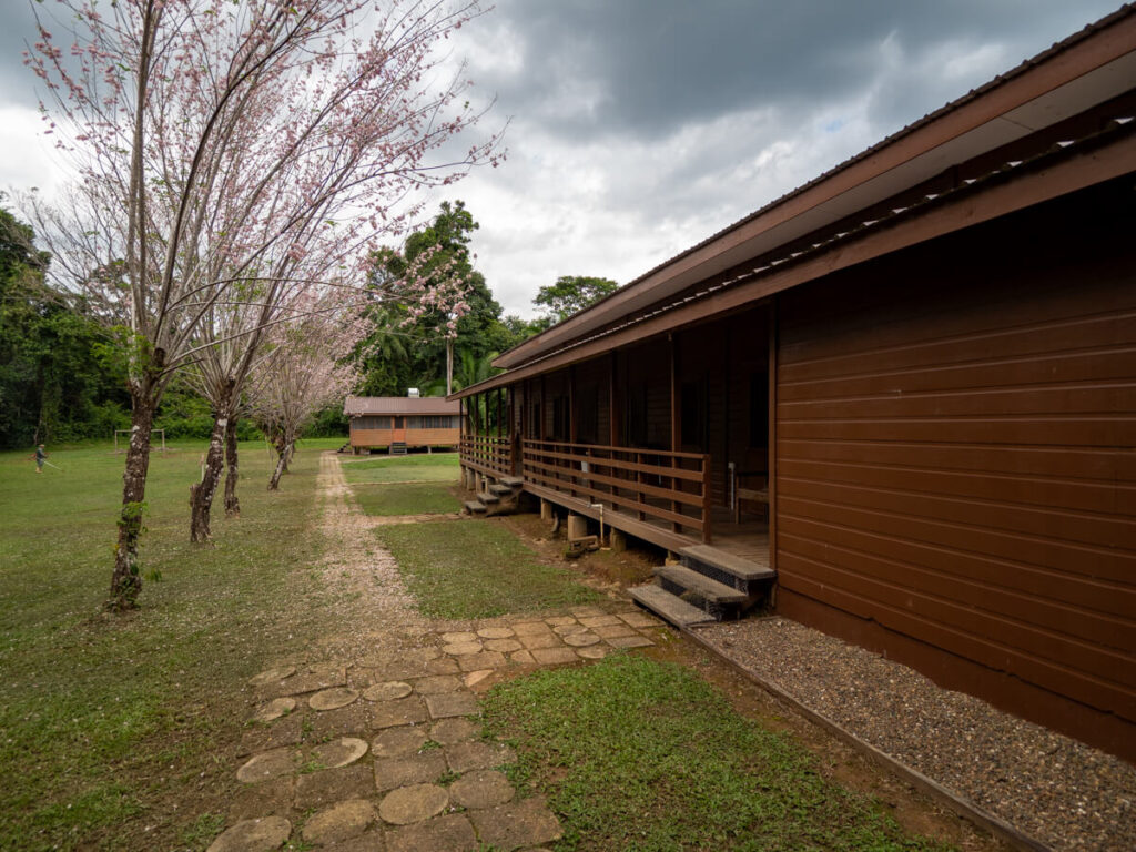 A large wooden cabin at Cockscomb Basin Wildlife Sanctuary.