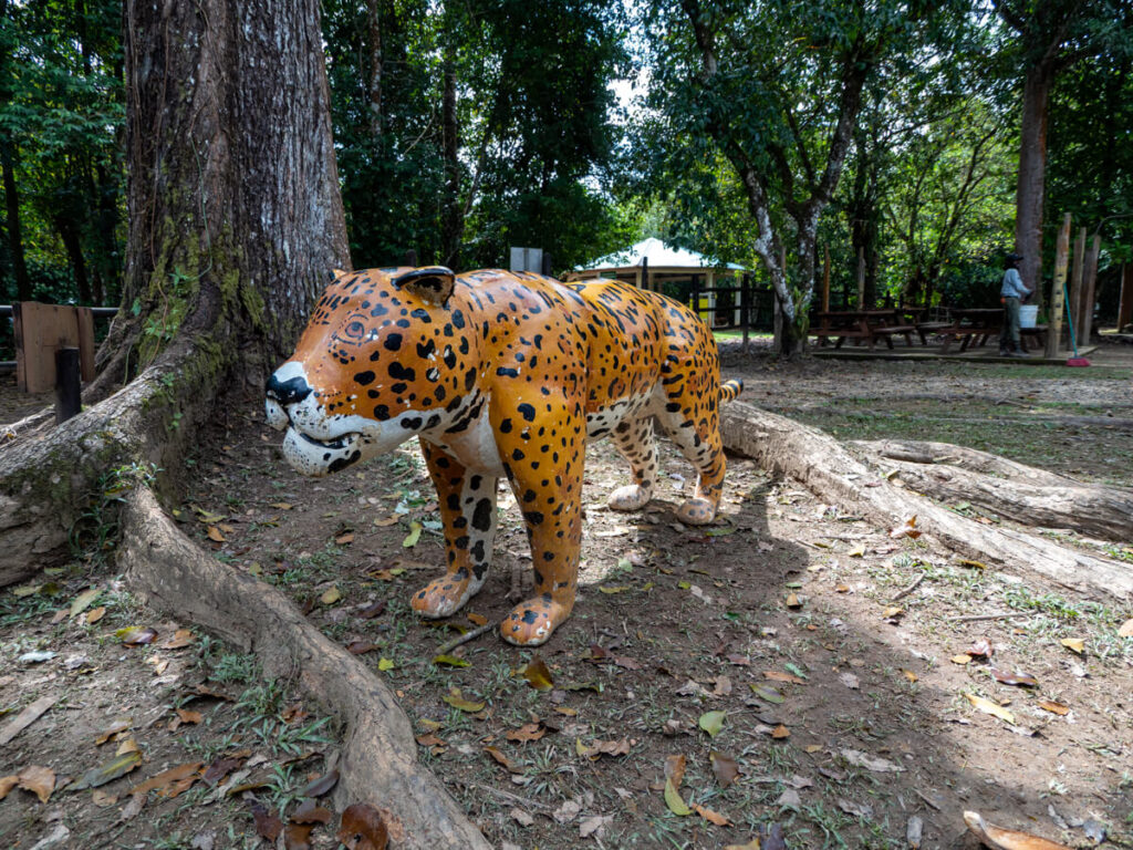 A wooden, painted carving of a jaguar at Cockscomb Basin Wildlife Sanctuary.