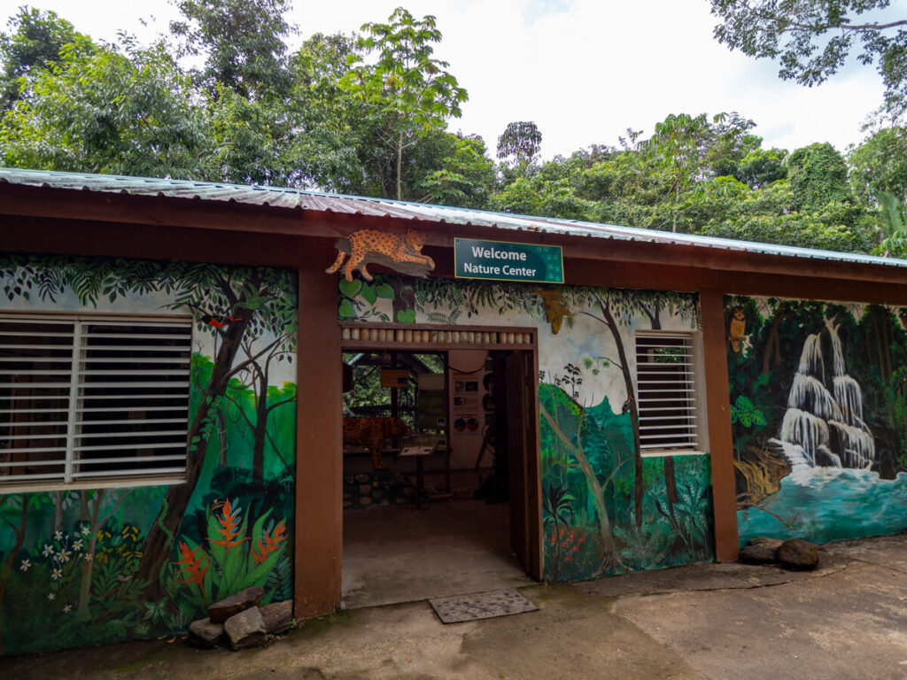 The nature centre at Cockscomb Basin Wildlife Sanctuary, with interesting exhibits.