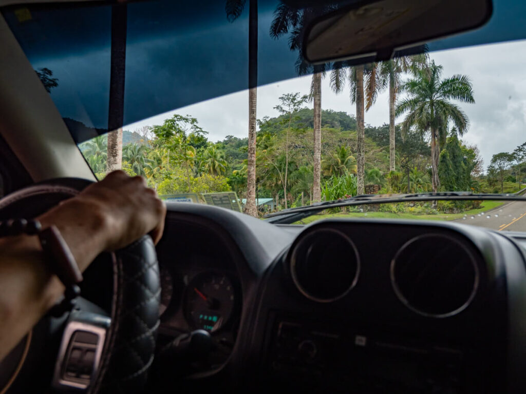 Dan's hand on the steering wheel of a rental car driving along the scenic Hummingbird Highway, which is lined with palm trees and lush rainforest.