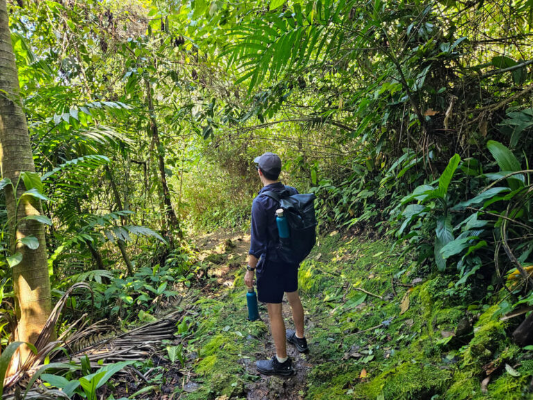 Dan hiking in the lush, green rainforest in Belize's St. Herman's Blue Hole National Park, one of the best stops on the Hummingbird Highway.
