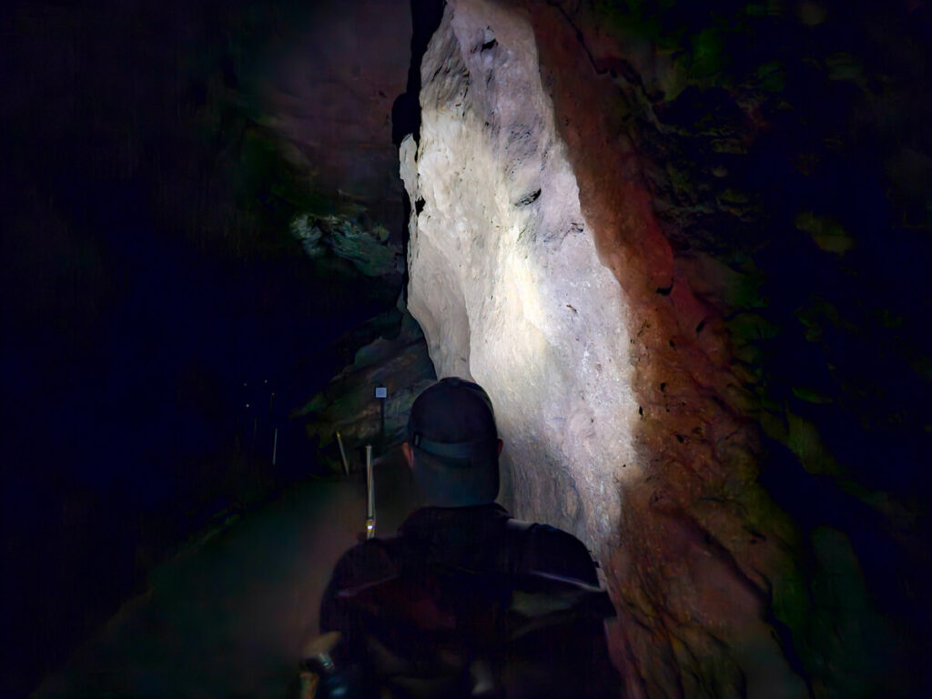 Dan lighting up the wall of a cave with his head torch in St. Herman's Blue Hole National Park.