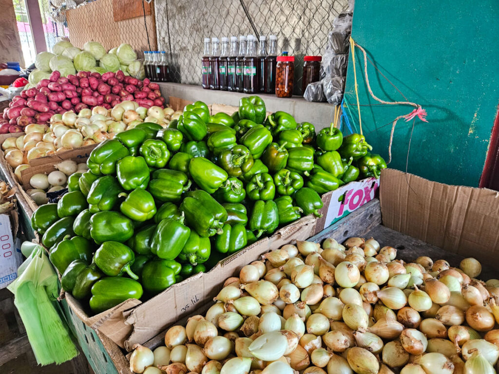 Vegetables like green peppers and onions piled in a market stall in San Ignacio Market.