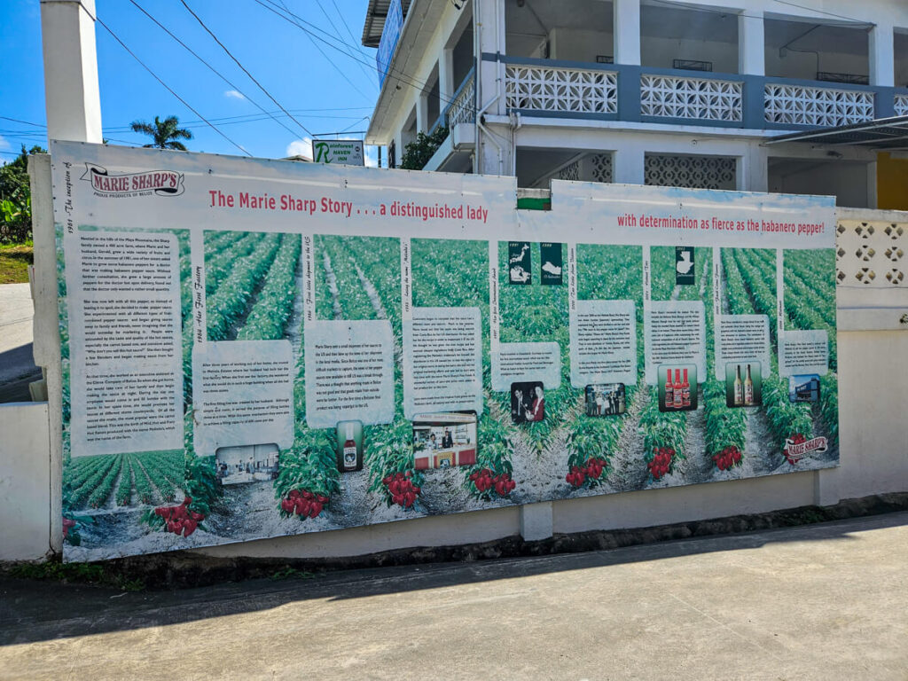 A poster on a wall in San Ignacio telling the history of Marie Sharp's Hot Sauce.