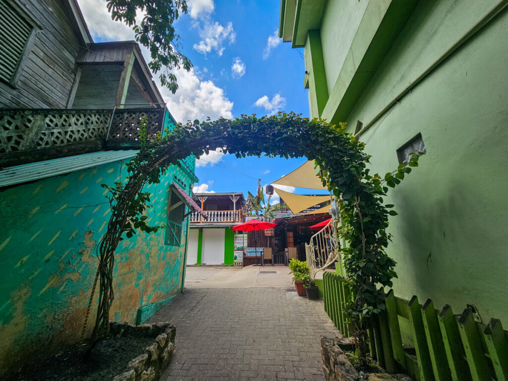 A floral archway leading to a shopping street in San Ignacio, Belize.