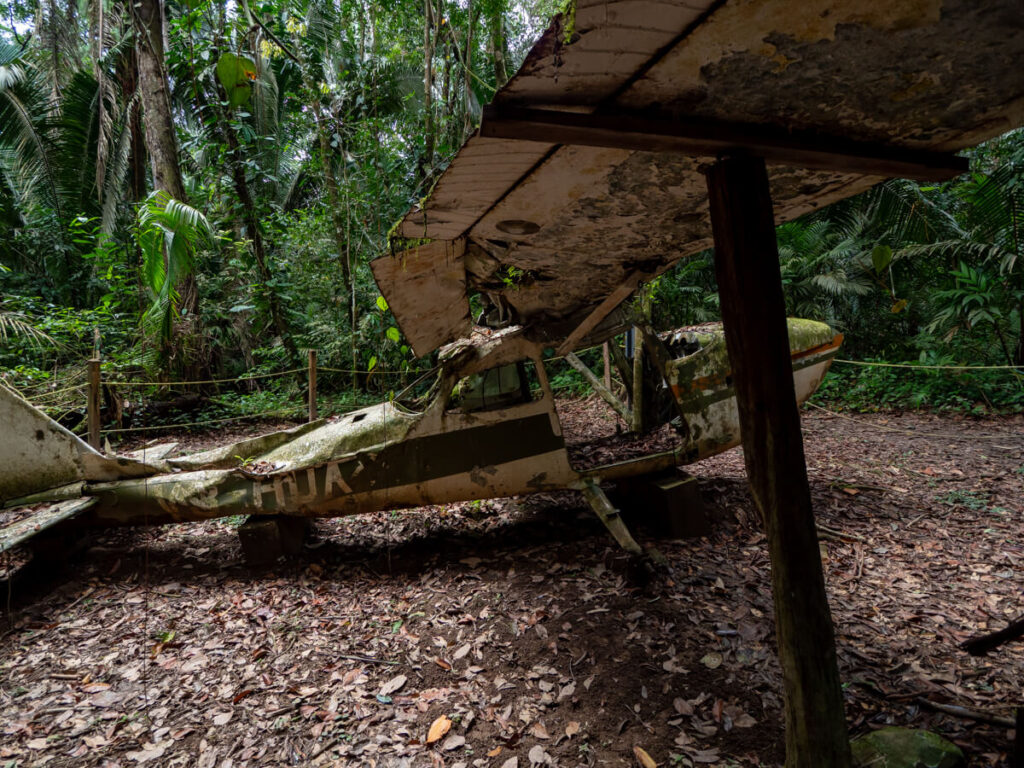 A wrecked plane sitting on the jungle floor in Cockscomb Basin Wildlife Sanctuary.