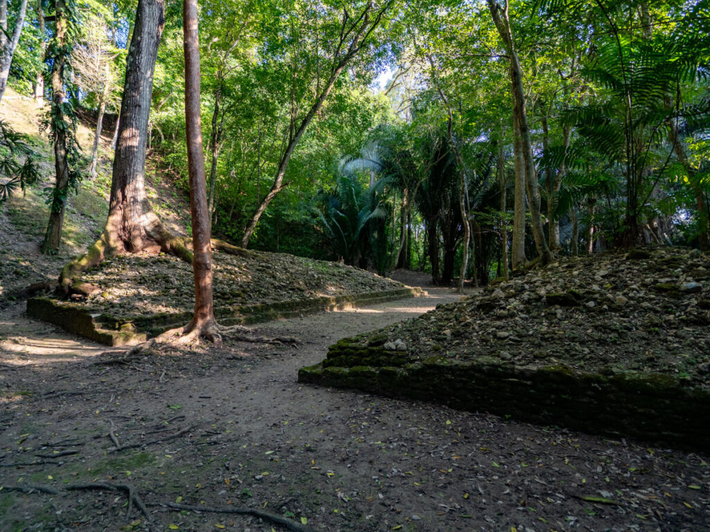 A tree-covered Mayan ball court at Cahal Pech.