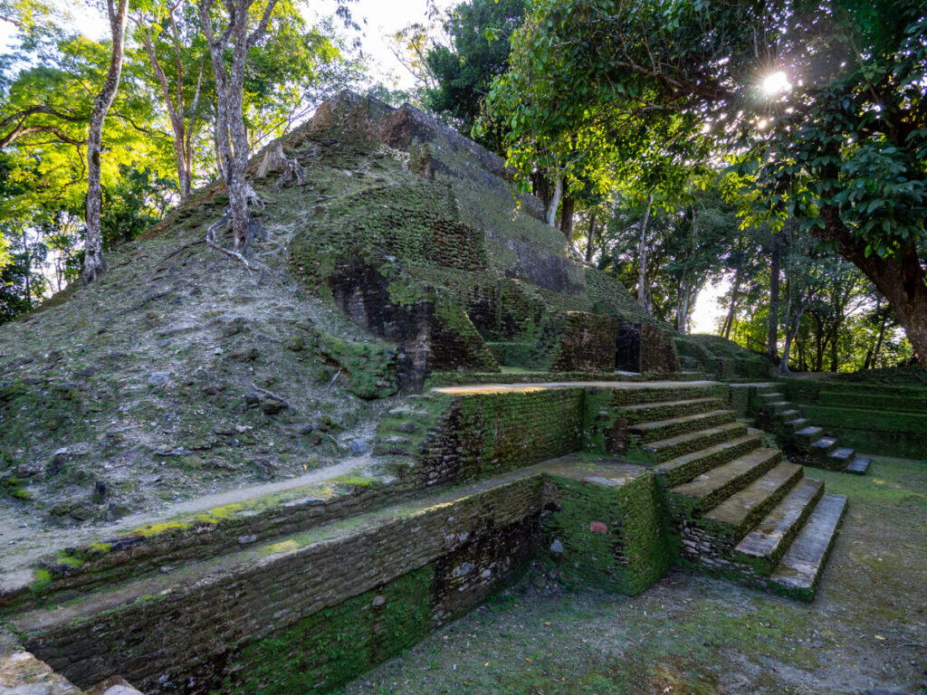 An impressive stone pyramid in Cahal Pech Mayan ruins, with trees clinging to the sides, and steps built into the front.