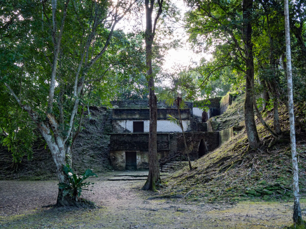 A painted stone building at Cahal Pech surrounded on all sides by trees and plants.