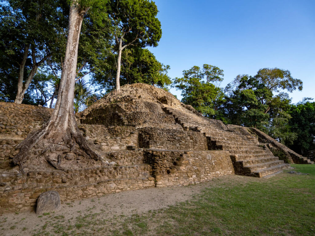 A large Mayan pyramid with trees growing out of it at the archaeological site of Cahal Pech.