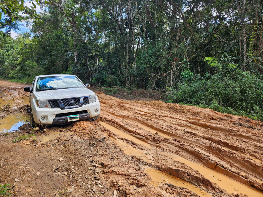A white pickup stuck in thick mud on the road to Rio Frio Cave in the Mountain Pine Ridge Forest Reserve.