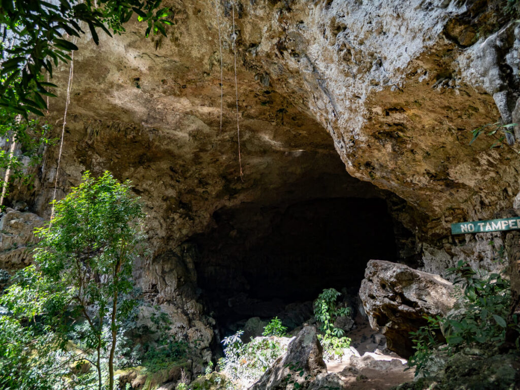 The gaping, circular mouth of Rio Frio Cave, surrounded by foliage, in the Mountain Pine Ridge Forest Reserve