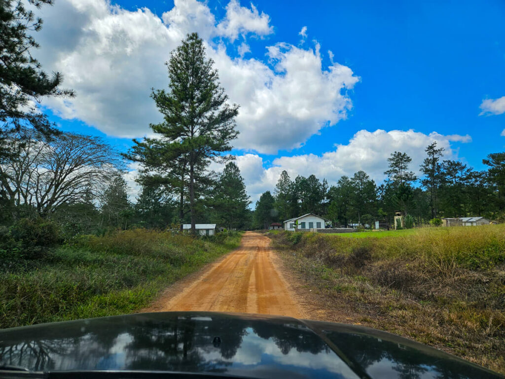 A bright orange dirt road through forest in Mountain Pine Ridge Forest Reserve.