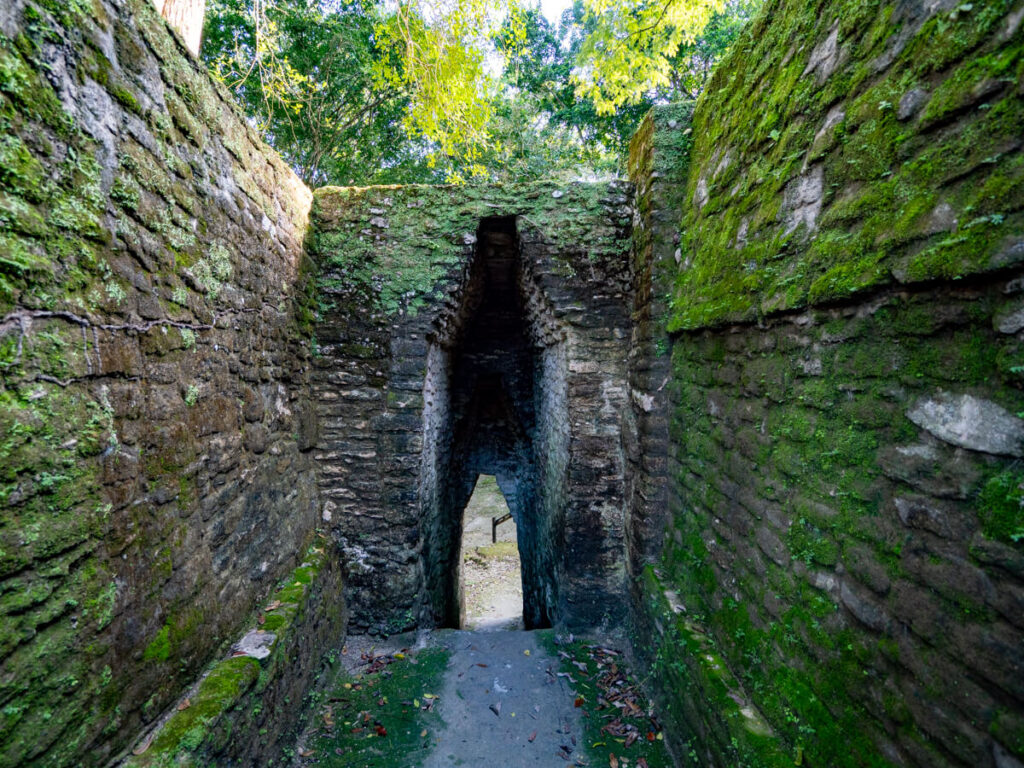 A moss-covered tunnel between buildings at the Mayan site of Cahal Pech, Belize.