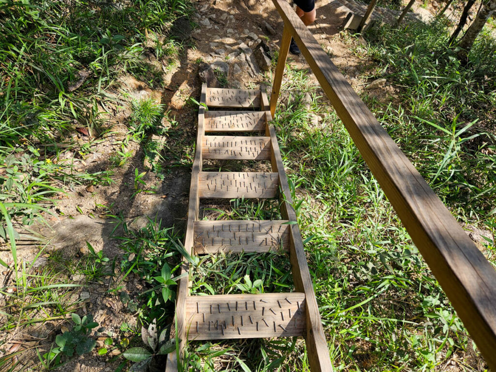 Rickety wooden steps leading downhill to Big Rock Falls in the Mountain Pine Ridge Forest Reserve.
